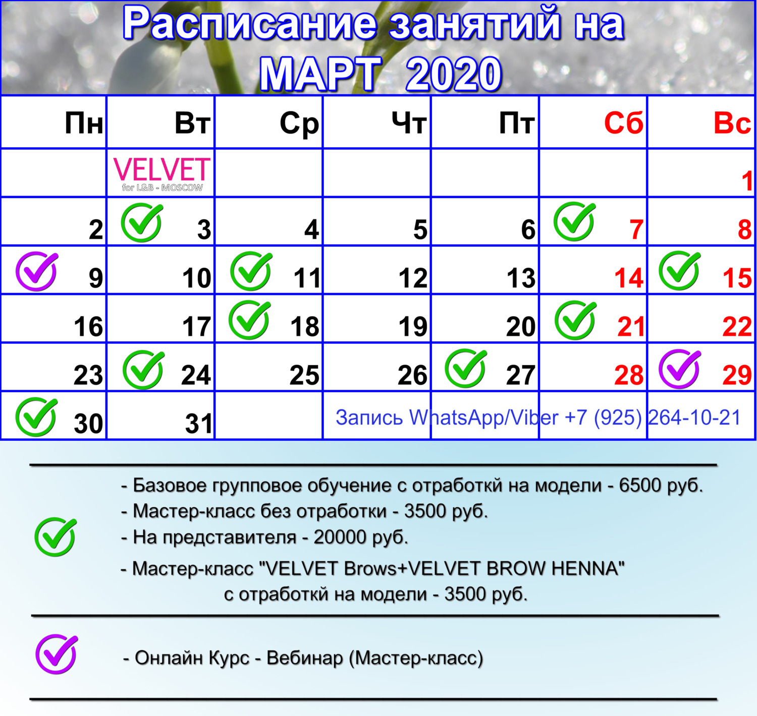 Вельвет Обучение март Вельвет Обучение март