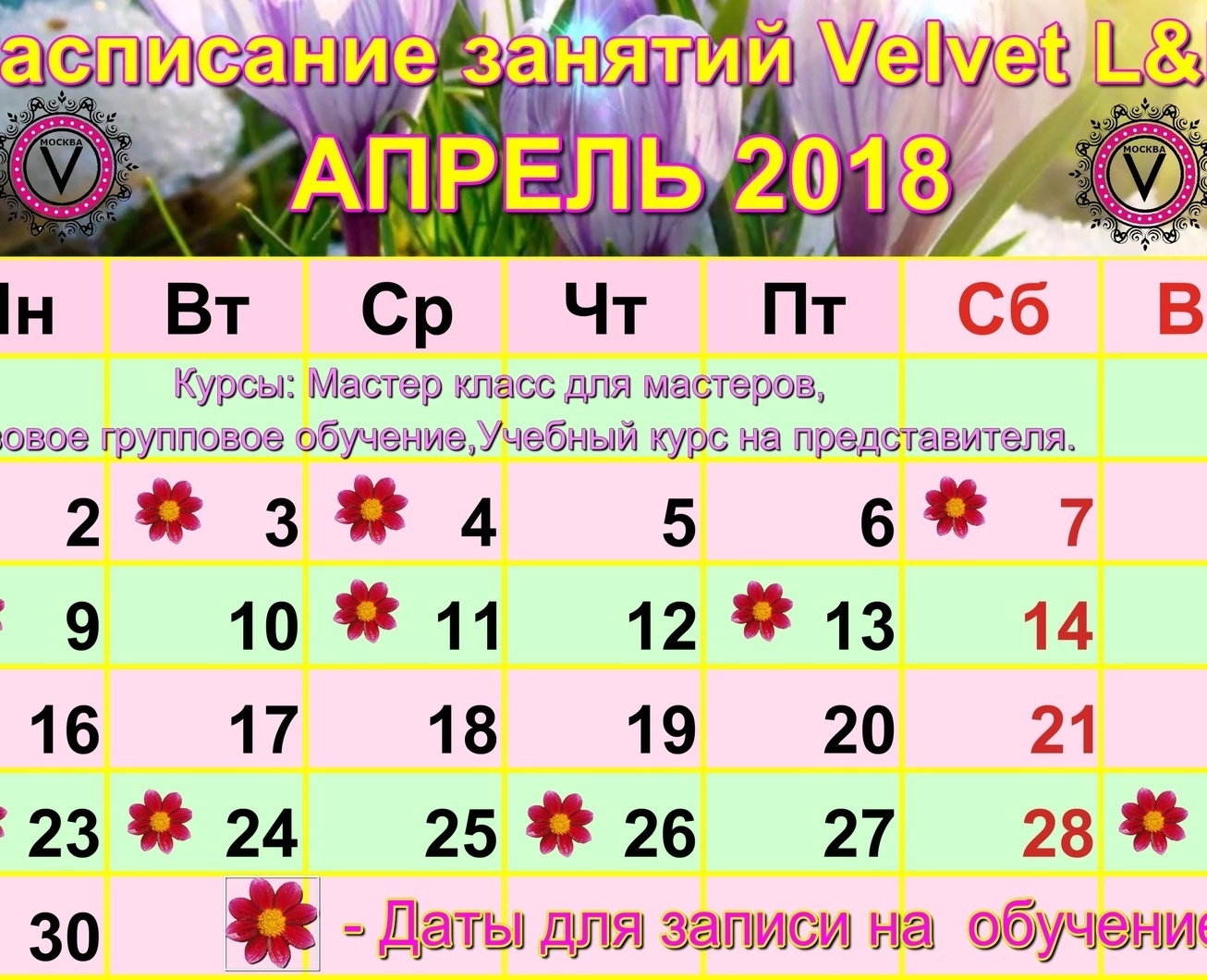 Даты занятий на АПРЕЛЬ по курсу "VELVET for lashes&brows"
