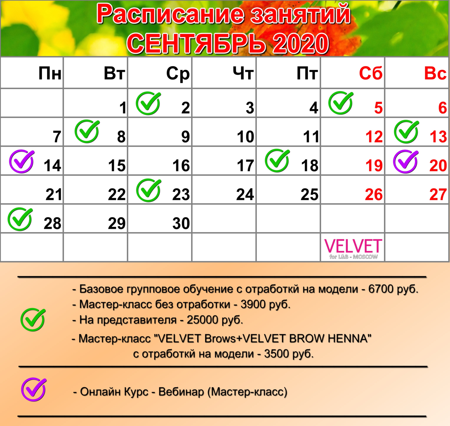 Вельвет ресниц обучение velvet график на сентябрь Вельвет ресниц обучение velvet